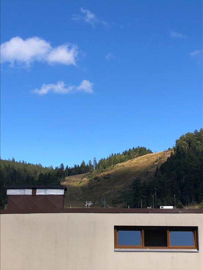 Studio La Bresse Chez Sandra Luaran gambar